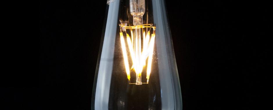 led squirrel cage light bulb